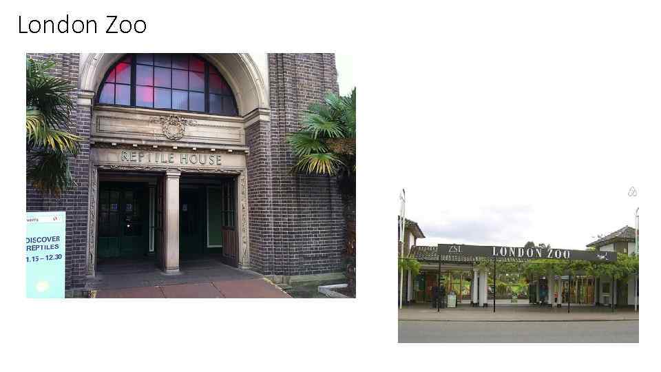 London Zoo 