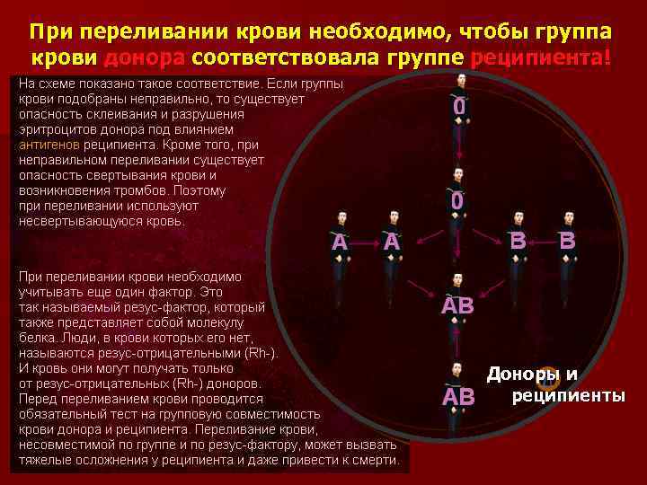 При переливании крови необходимо, чтобы группа крови донора соответствовала группе реципиента! Доноры и реципиенты