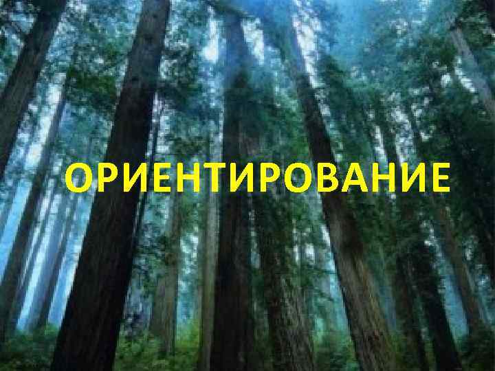 ОРИЕНТИРОВАНИЕ 