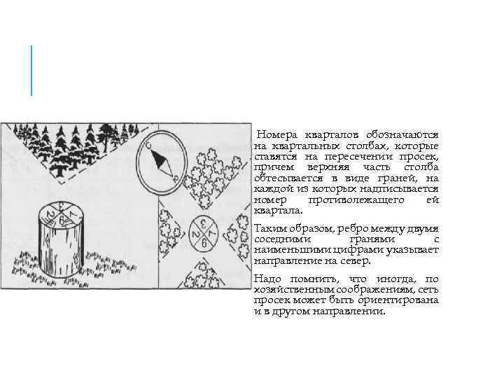  Номера кварталов обозначаются на квартальных столбах, которые ставятся на пересечении просек, причем верхняя