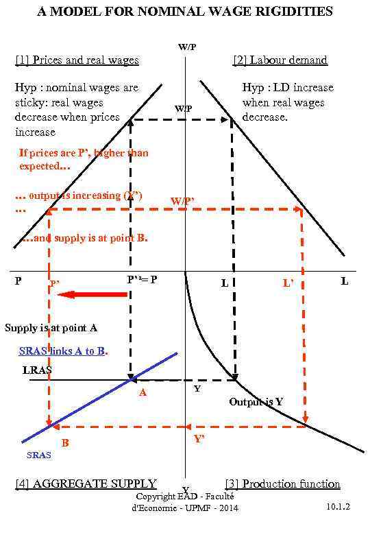 A MODEL FOR NOMINAL WAGE RIGIDITIES W/P [1] Prices and real wages [2] Labour