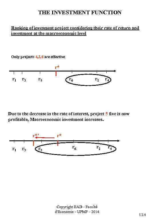THE INVESTMENT FUNCTION Ranking of invesment project considering their rate of return and investment