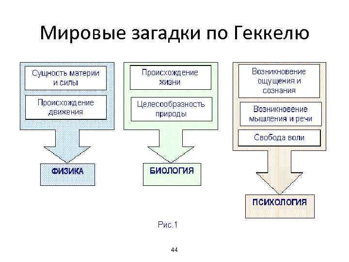 Мировые загадки по Геккелю 44 