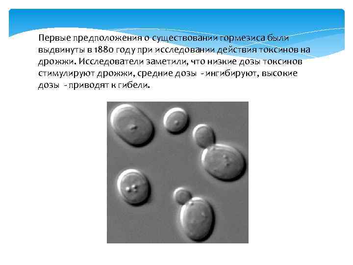 Первые предположения о существовании гормезиса были выдвинуты в 1880 году при исследовании действия токсинов