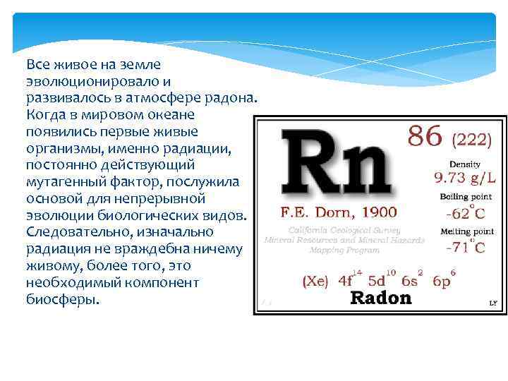  Все живое на земле эволюционировало и развивалось в атмосфере радона. Когда в мировом