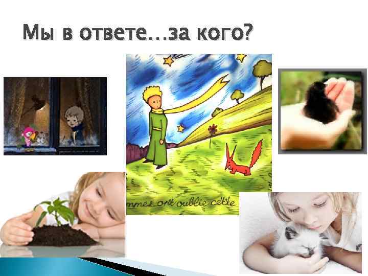 Мы в ответе…за кого? 