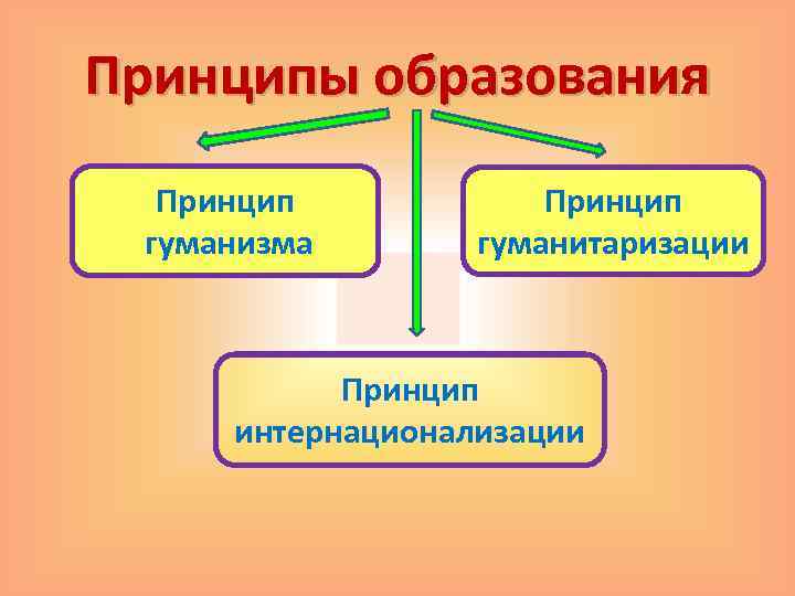 Принципы образования Принцип гуманизма Принцип гуманитаризации Принцип интернационализации 