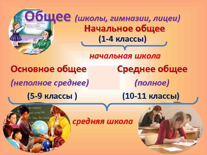 Общее (школы, гимназии, лицеи) Начальное общее (1 -4 классы) начальная школа Основное общее Среднее