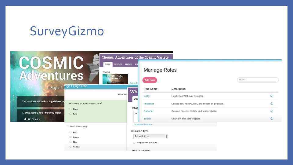 Survey. Gizmo 