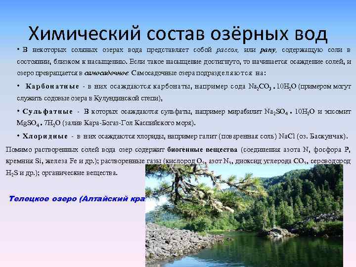 Вода озеро содержит. Химический состав озерных вод. Состав воды в озере. Химический состав воды в озёрах. Состав Озерной воды.