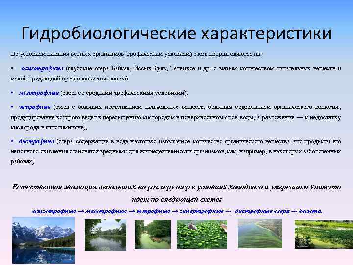 Гидробиологические характеристики По условиям питания водных организ ов (трофическим условиям) озера подразделяются на: м