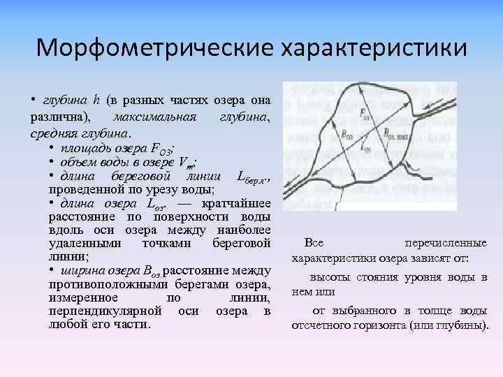 Морфометрические характеристики • глубина h (в разных частях озера она различна), максималь ая глубина,