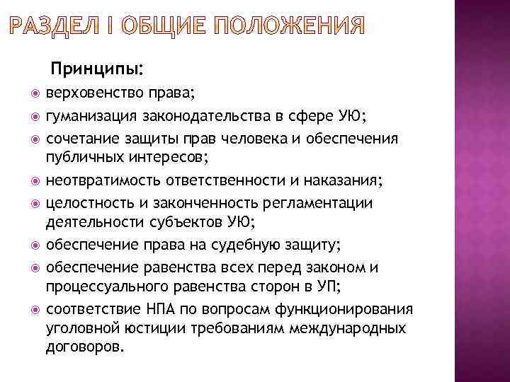 Принципы: верховенство права; гуманизация законодательства в сфере УЮ; сочетание защиты прав человека и обеспечения