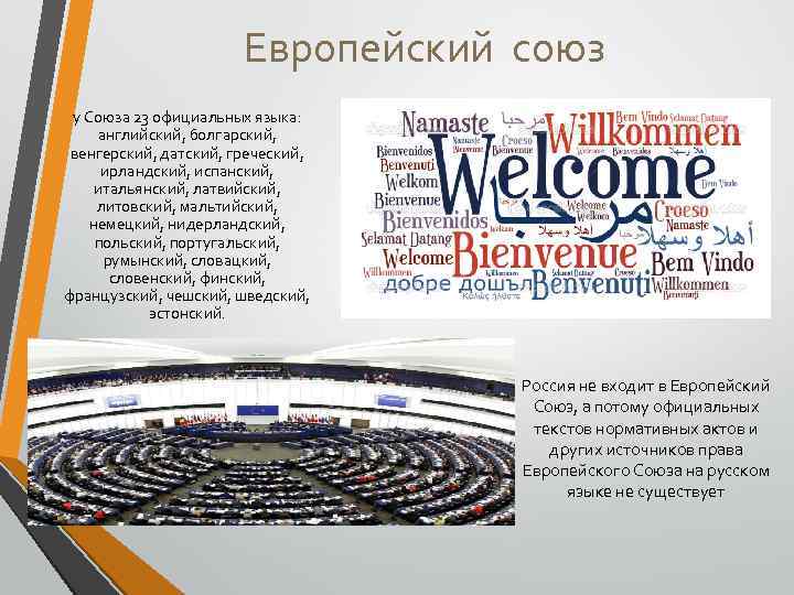Европейский союз у Союза 23 официальных языка: английский, болгарский, венгерский, датский, греческий, ирландский, испанский,