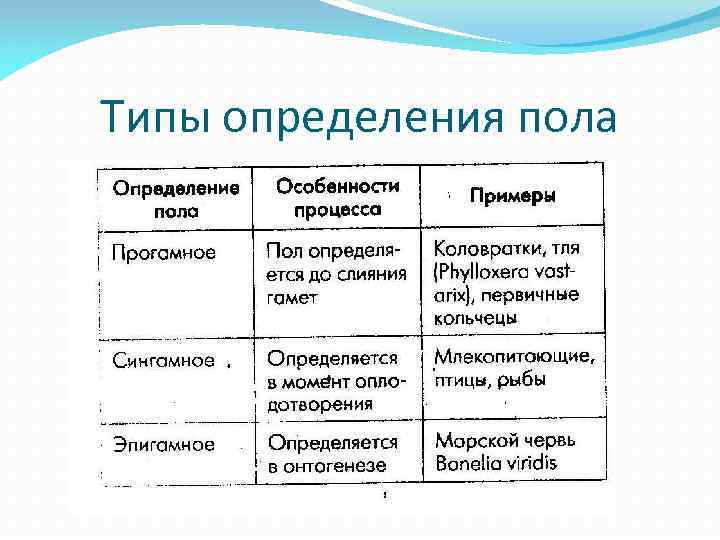 Типы определения пола 