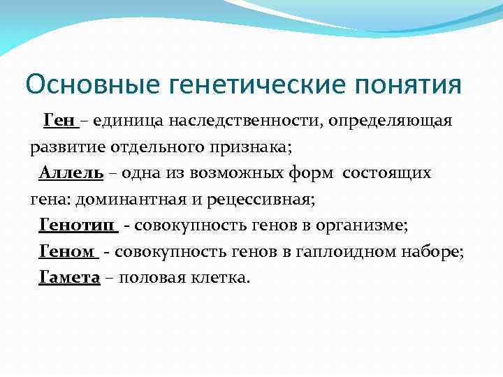 Основные генетические понятия Ген – единица наследственности, определяющая развитие отдельного признака; Аллель – одна