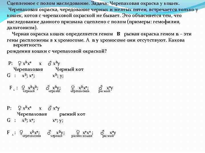 Сцепленное с полом наследование. Задача: Черепаховая окраска у кошек. Черепаховая окраска, чередование черных и