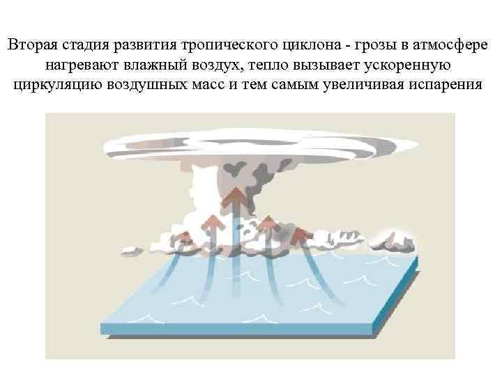 Вторая стадия развития тропического циклона - грозы в атмосфере нагревают влажный воздух, тепло вызывает