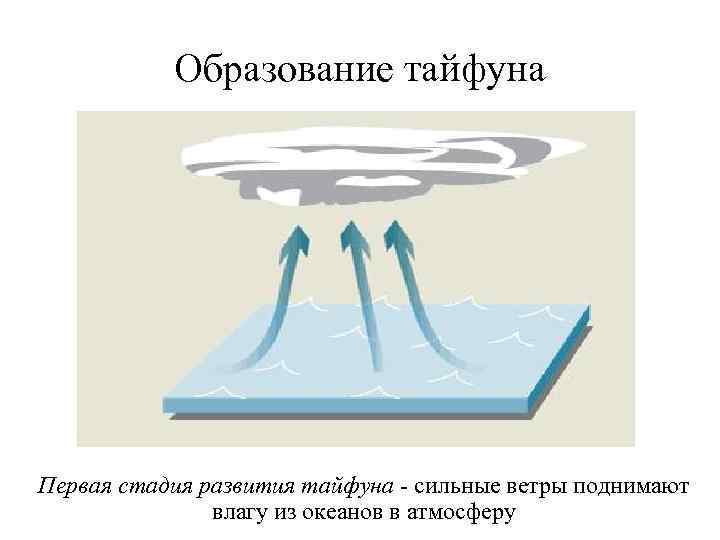 Образование тайфуна Первая стадия развития тайфуна - сильные ветры поднимают влагу из океанов в