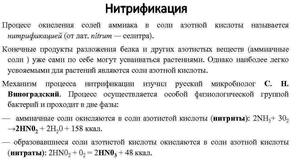 Нитрификация Процесс окисления солей аммиака в соли азотной кислоты называется нитрификацией (от лат. пitrum