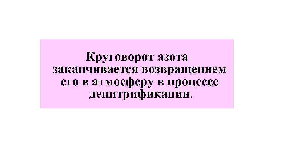 Круговорот азота заканчивается возвращением его в атмосферу в процессе денитрификации. 