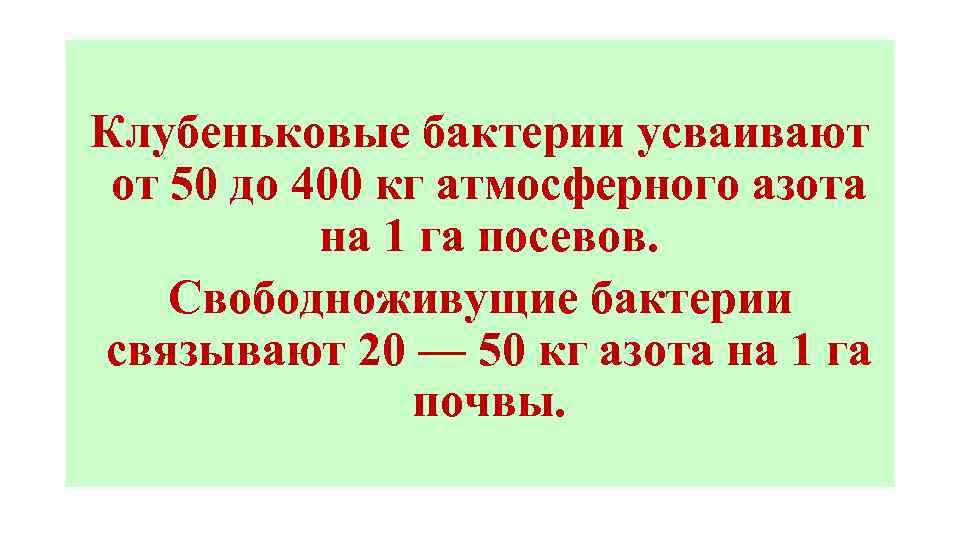 Клубеньковые бактерии усваивают от 50 до 400 кг атмосферного азота на 1 га посевов.