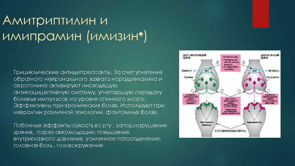 Амитриптилин и имипрамин (имизин♠) Трициклические антидепрессанты. За счет угнетения обратного нейронального захвата норадреналина и