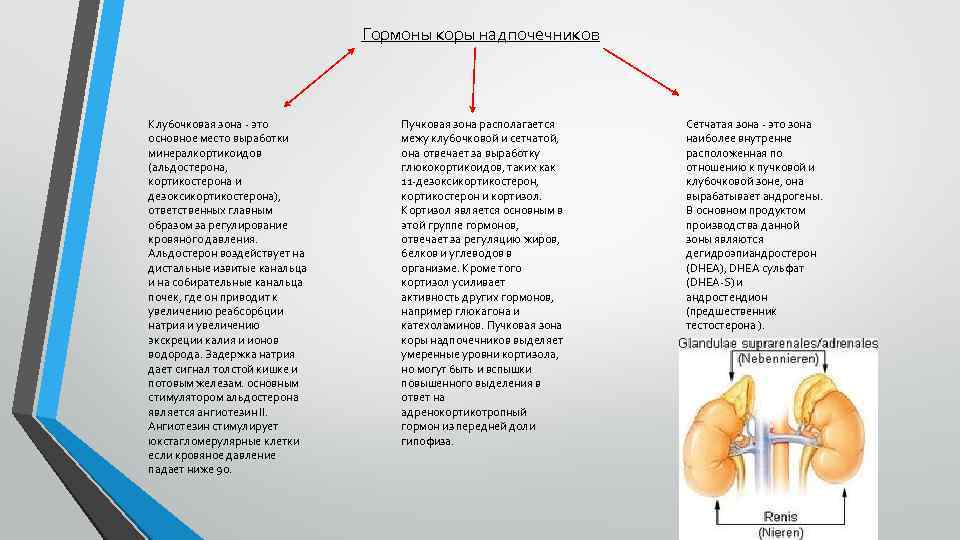 Эффекты гормонов надпочечников