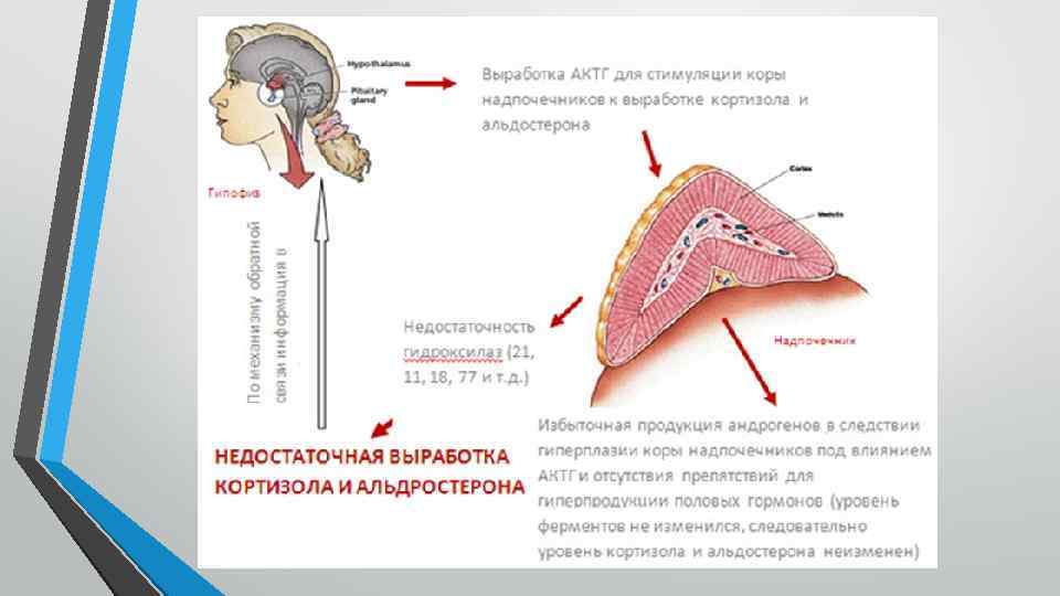 Дисфункция надпочечников у ребенка врожденная