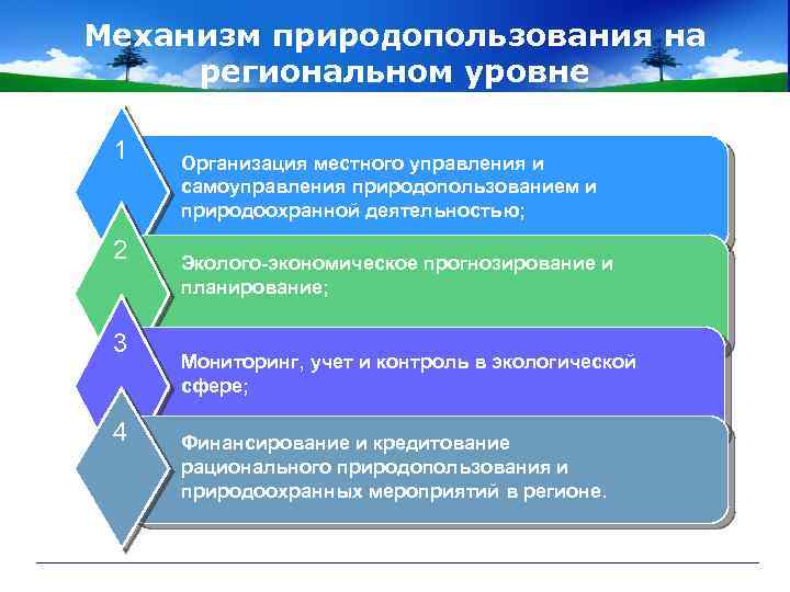 Природные ресурсы обеспечения. Региональные системы природопользования. Механизмы природопользования. Природопользование на муниципальном уровне. Природопользование на региональном уровне.