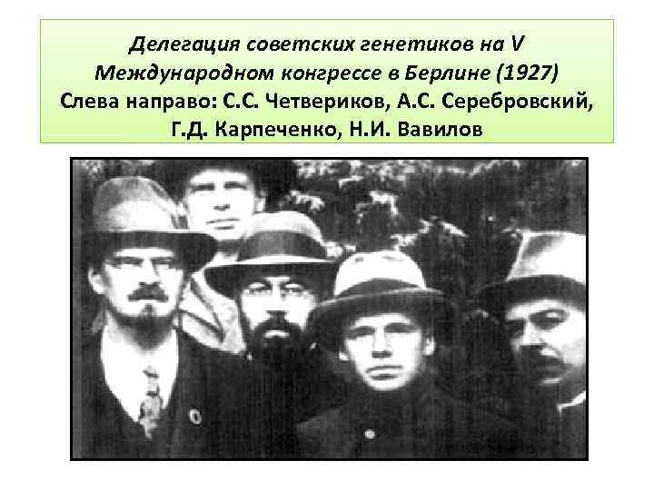 Делегация советских генетиков на V Международном конгрессе в Берлине (1927) Слева направо: С. С.