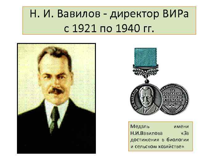 Н. И. Вавилов - директор ВИРа с 1921 по 1940 гг. Медаль имени Н.