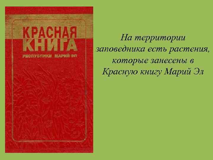 На территории заповедника есть растения, которые занесены в Красную книгу Марий Эл 