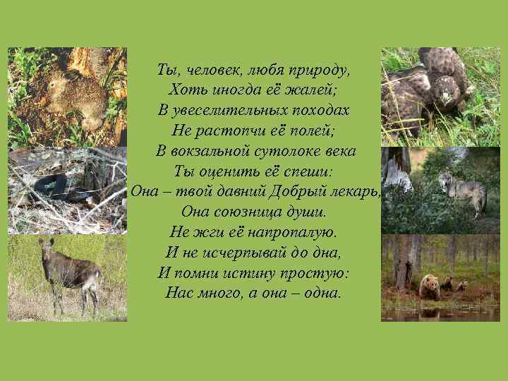 Ты, человек, любя природу, Хоть иногда её жалей; В увеселительных походах Не растопчи её