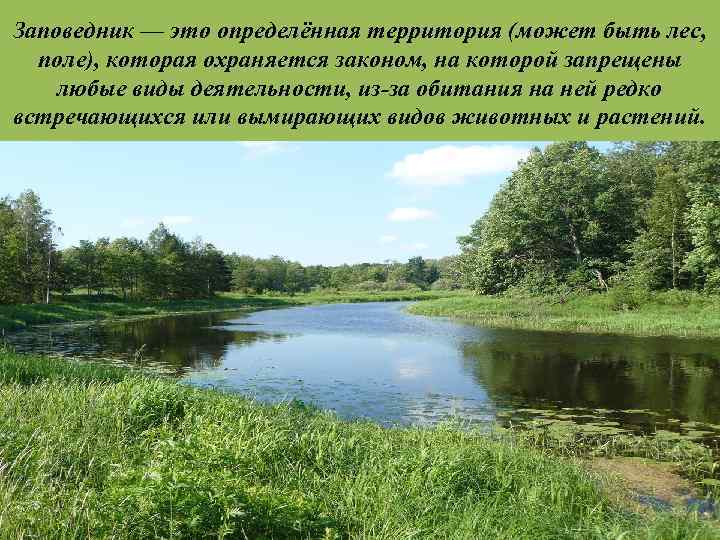 Заповедник — это определённая территория (может быть лес, поле), которая охраняется законом, на которой