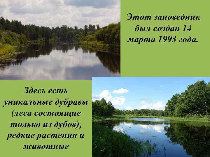 Этот заповедник был создан 14 марта 1993 года. Здесь есть уникальные дубравы (леса состоящие