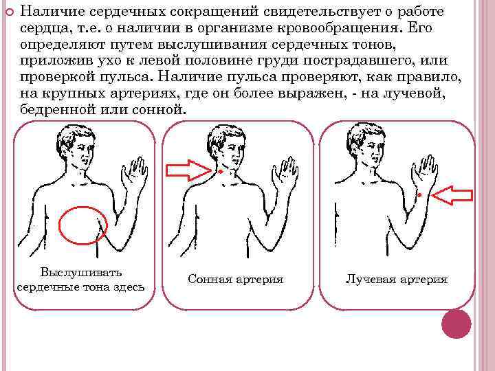  Наличие сердечных сокращений свидетельствует о работе сердца, т. е. о наличии в организме