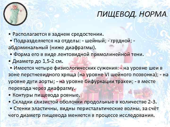 ПИЩЕВОД. НОРМА. • Располагается в заднем средостении. • Подразделяется на отделы: - шейный; -