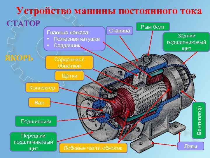 Устройство машины постоянного тока СТАТОР Главные полюса: • Полюсная катушка • Сердечник ЯКОРЬ Станина