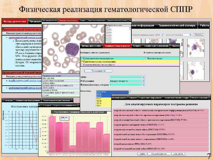 Физическая реализация гематологической СППР 7 