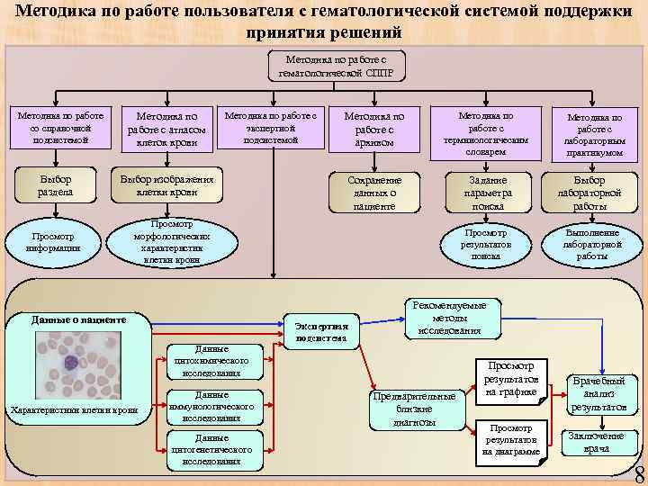 Методика по работе пользователя с гематологической системой поддержки принятия решений Методика по работе с