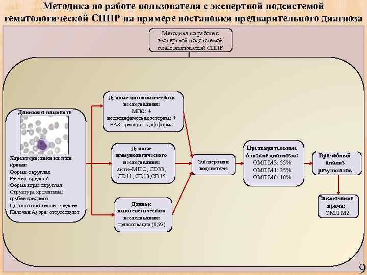 Методика по работе пользователя с экспертной подсистемой гематологической СППР на примере постановки предварительного диагноза