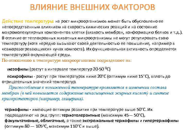 ВЛИЯНИЕ ВНЕШНИХ ФАКТОРОВ Действие температуры на рост микроорганизмов может быть обусловлено ее непосредственным влиянием