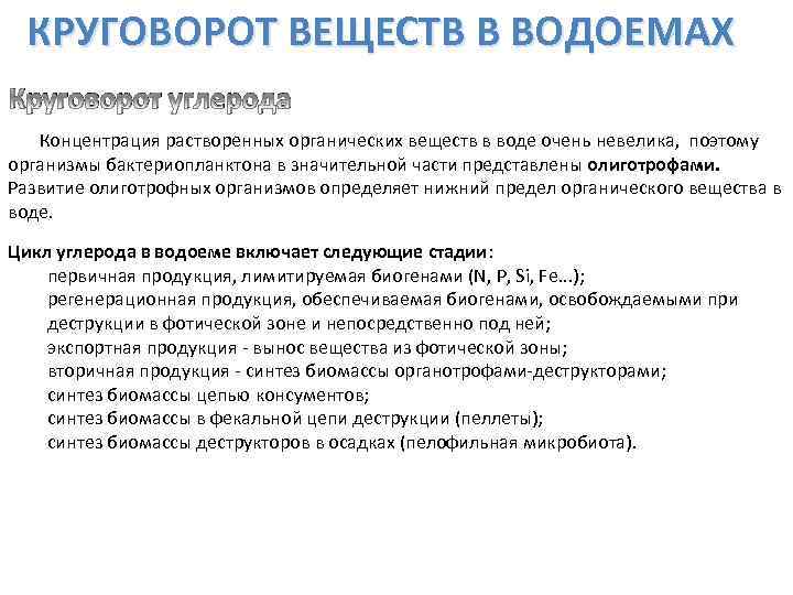 КРУГОВОРОТ ВЕЩЕСТВ В ВОДОЕМАХ Круговорот углерода Концентрация растворенных органических веществ в воде очень невелика,