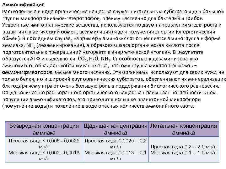 Аммонификация Растворенные в воде органические вещества служат питательным субстратом для большой группы микроорганизмов-гетеротрофов, преимущественно