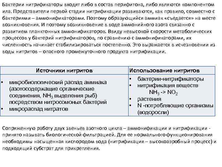 Бактерии нитрификаторы входят либо в состав перифитона, либо являются компонентом ила. Представители первой стадии