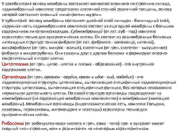 У архебактерий основу мембраны составляет монослой сложного по строению липида, надмембранный комплекс представлен клеточной