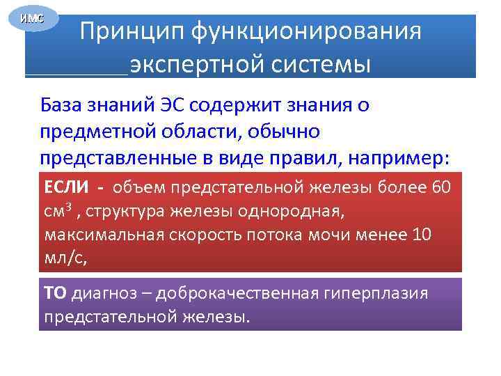 ИМС Принцип функционирования экспертной системы База знаний ЭС содержит знания о предметной области, обычно