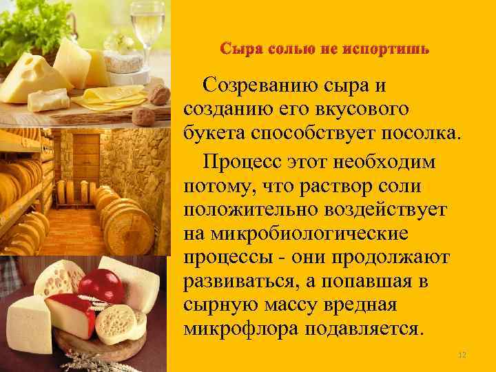 Сыра солью не испортишь Созреванию сыра и созданию его вкусового букета способствует посолка. Процесс