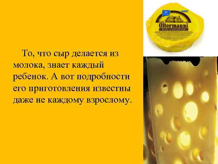 То, что сыр делается из молока, знает каждый ребенок. А вот подробности его приготовления